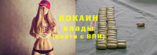 apvp Алексин