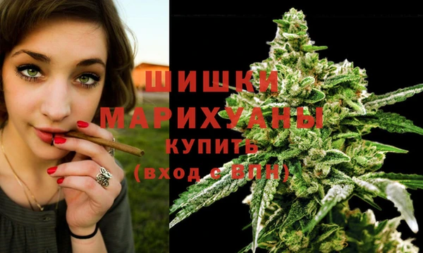 индика Алзамай