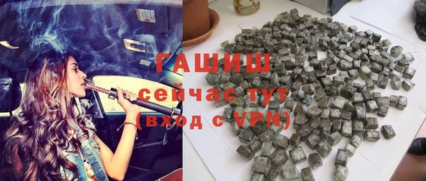 индика Алзамай