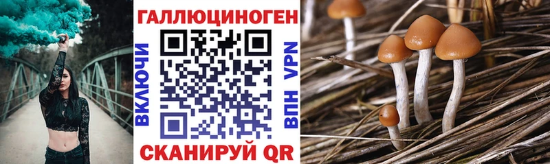 mega онион Кизел Галлюциногенные грибы Magic Shrooms